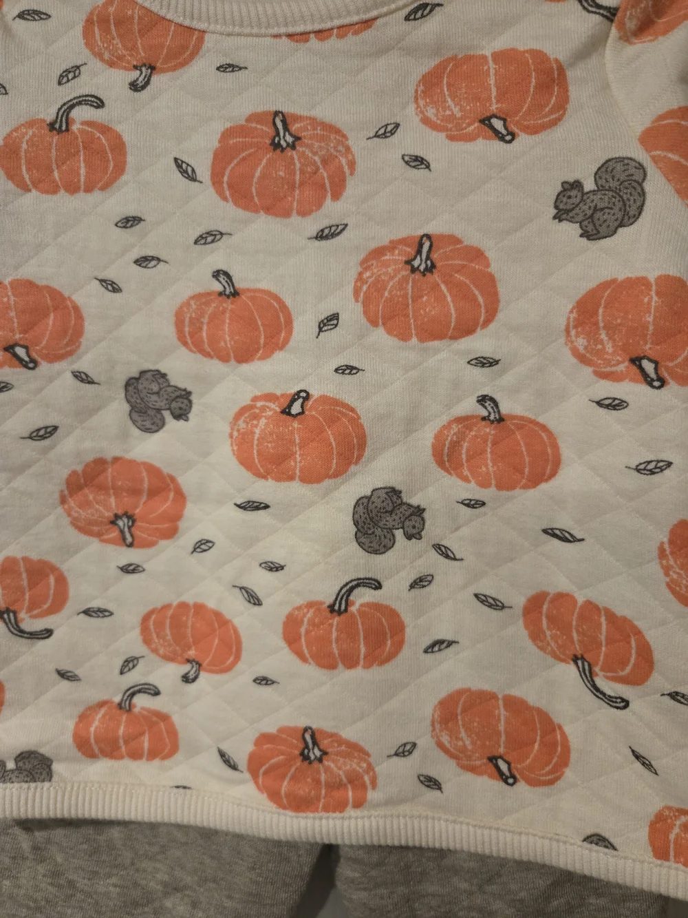 Little Planet Pumpkin Print Baby Top and Quilted Pants 6 Months